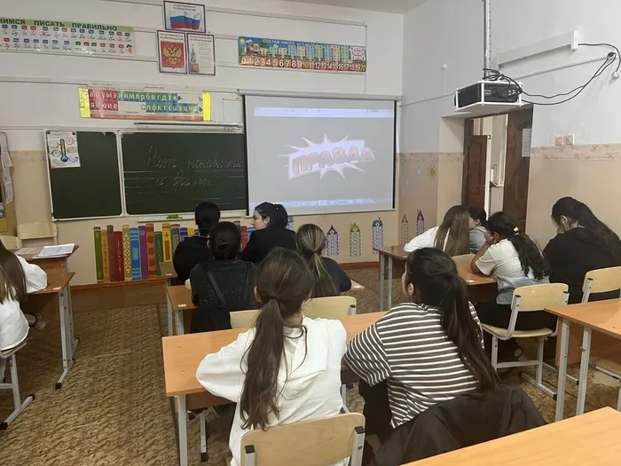 Изображение WhatsApp 2024-11-19 в 15.19.49_ae9736f4